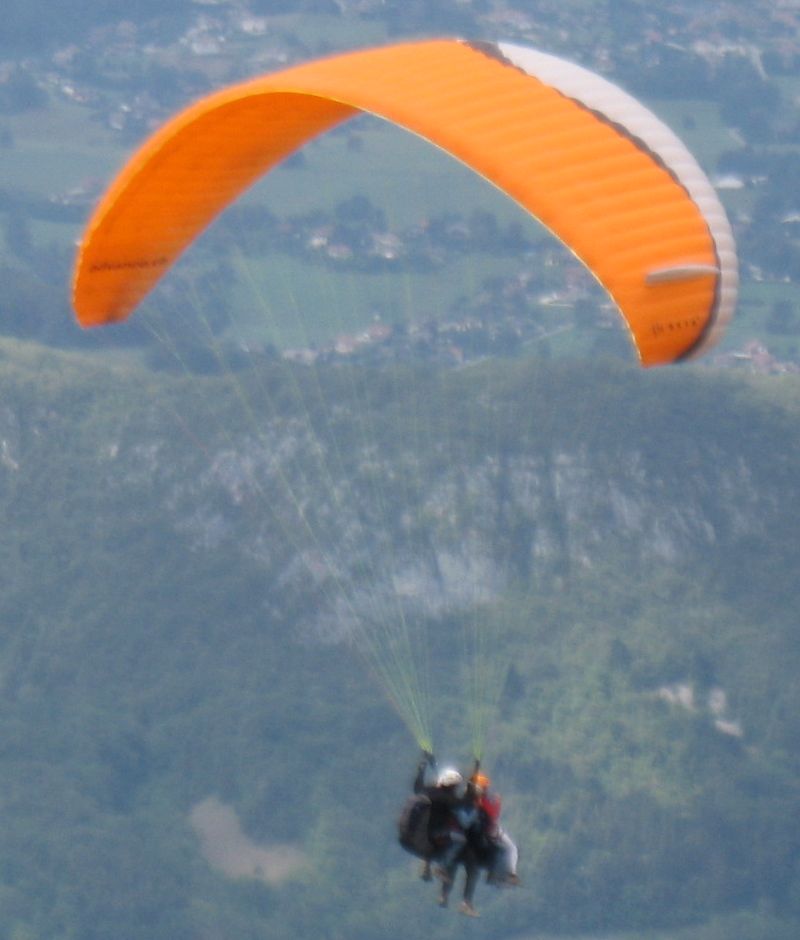 donatas04.jpg